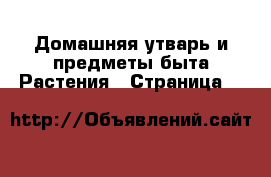 Домашняя утварь и предметы быта Растения - Страница 3 
